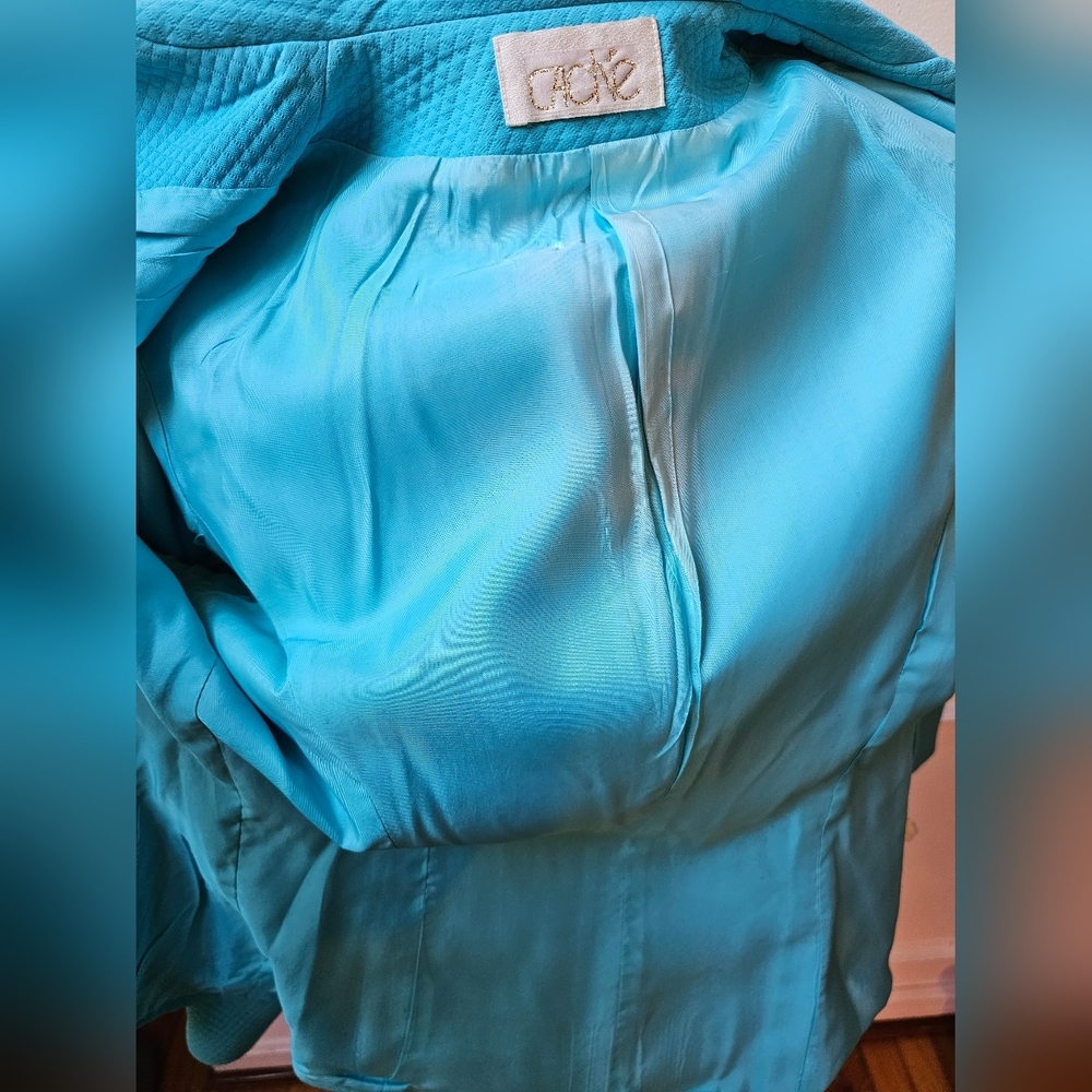 Cache Turquoise Skirt Set - Picture 12 of 16